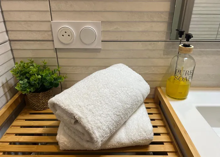 Le Cosy Sarrebourg Wifi Netflix Tout A Pied Proche Center Parc Proche Gare